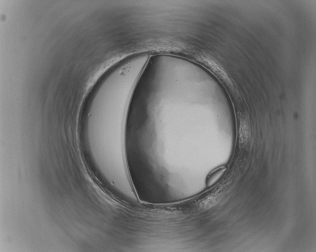 X0000060580722200512011732