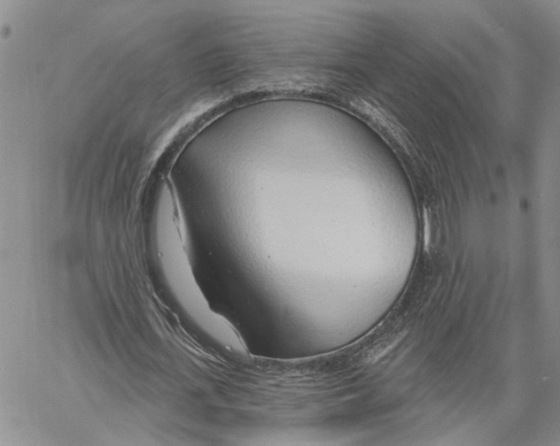 X0000060580723200512011732