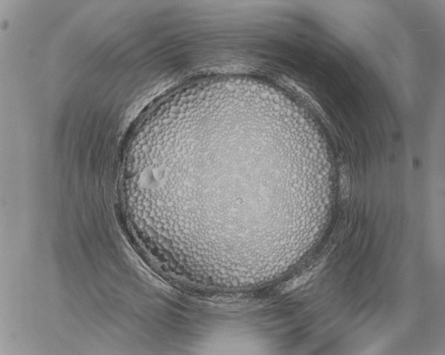 X0000060580725200512011732