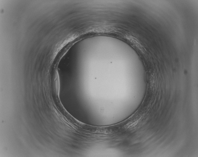 X0000060580727200512011732