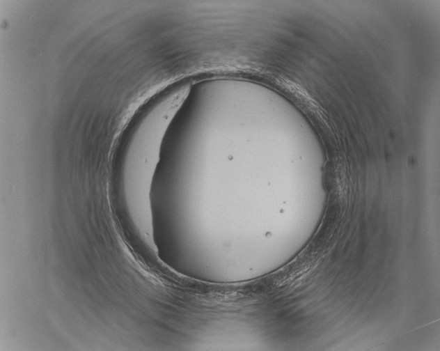 X0000060580728200512011732