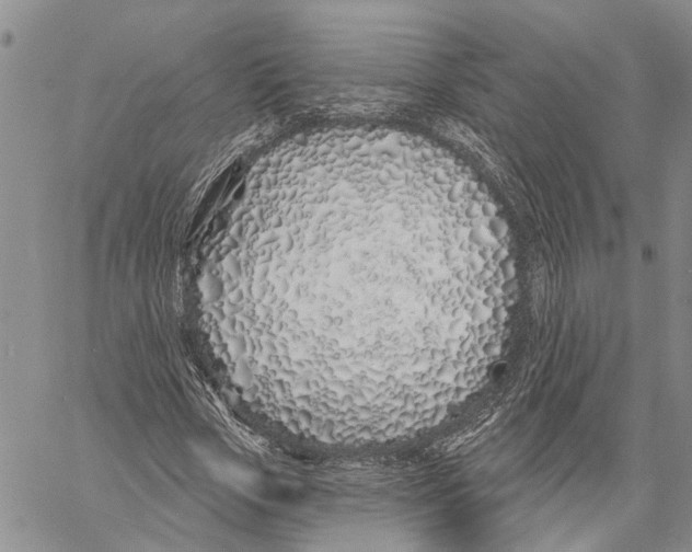 X0000060580729200512011732