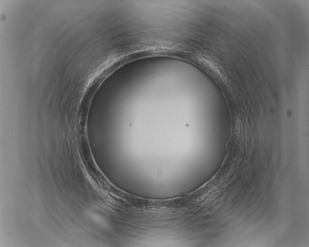 X0000060580730200512011732