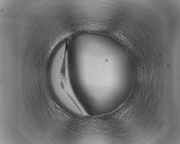 X0000060580731200512011732