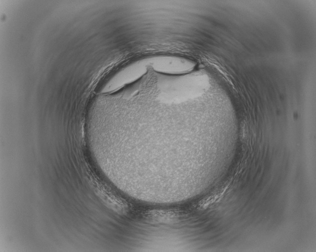 X0000060580733200512011732