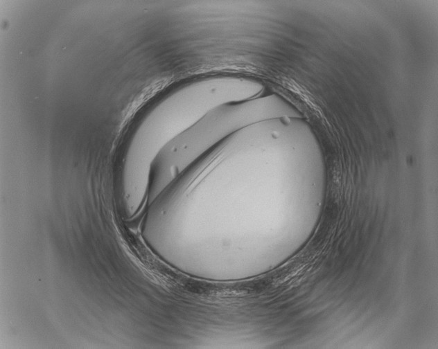 X0000060580734200512011732