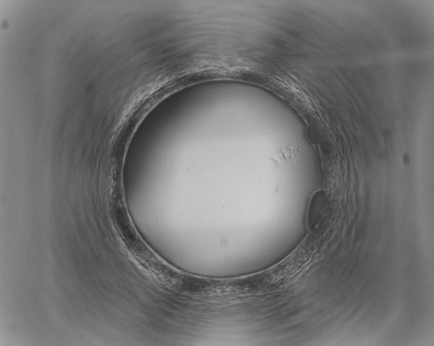 X0000060580736200512011732