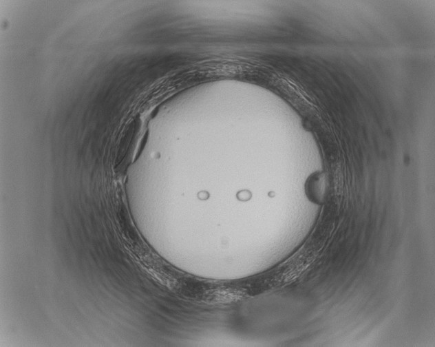 X0000060580737200512011732