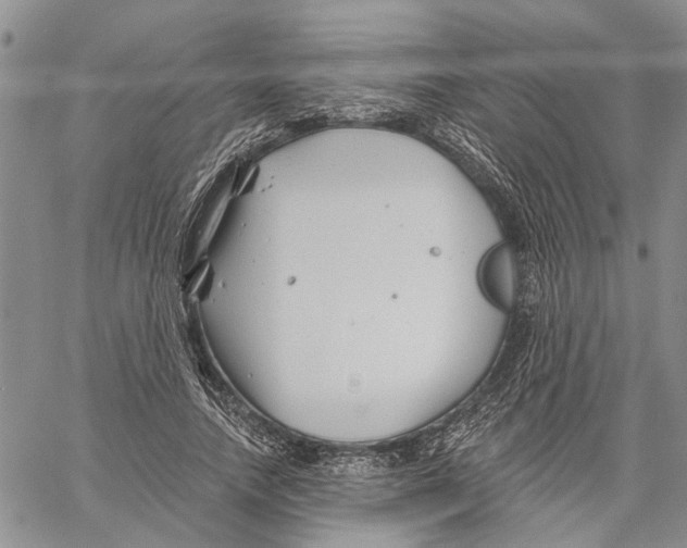 X0000060580738200512011732