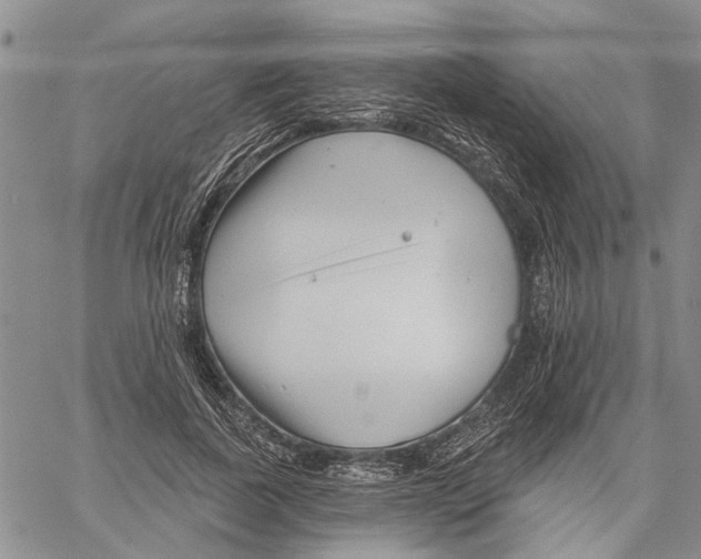 X0000060580739200512011732