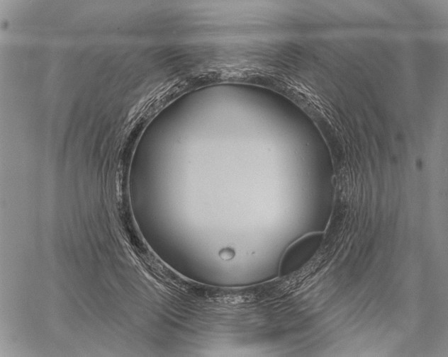 X0000060580740200512011732