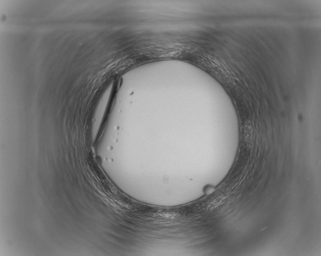 X0000060580741200512011732