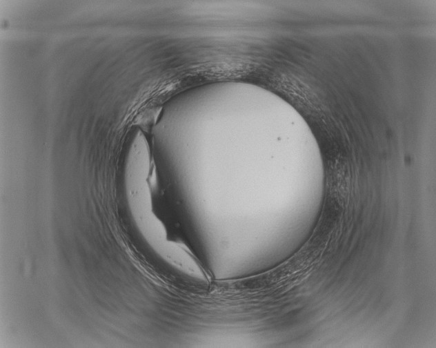 X0000060580742200512011732