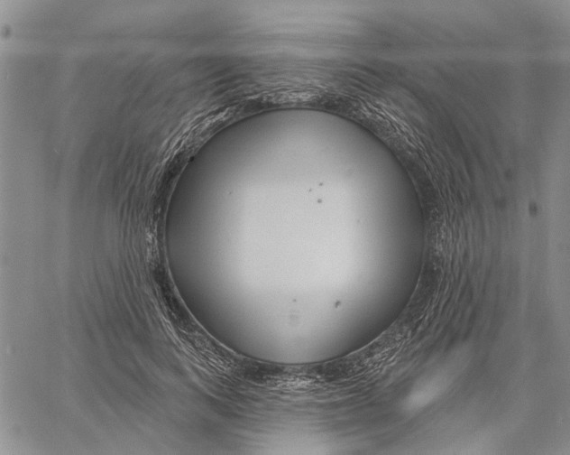 X0000060580743200512011732