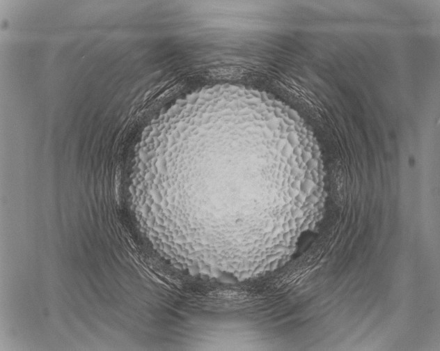 X0000060580745200512011732