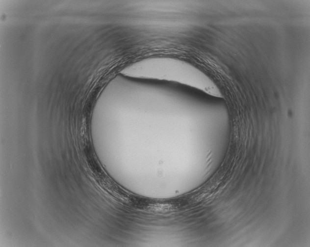 X0000060580748200512011732