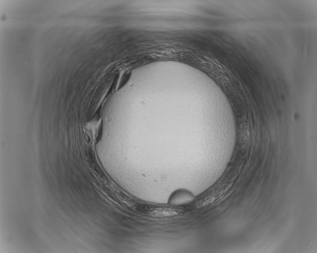 X0000060580749200512011732