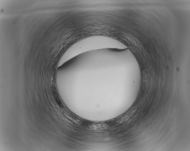 X0000060580752200512011732