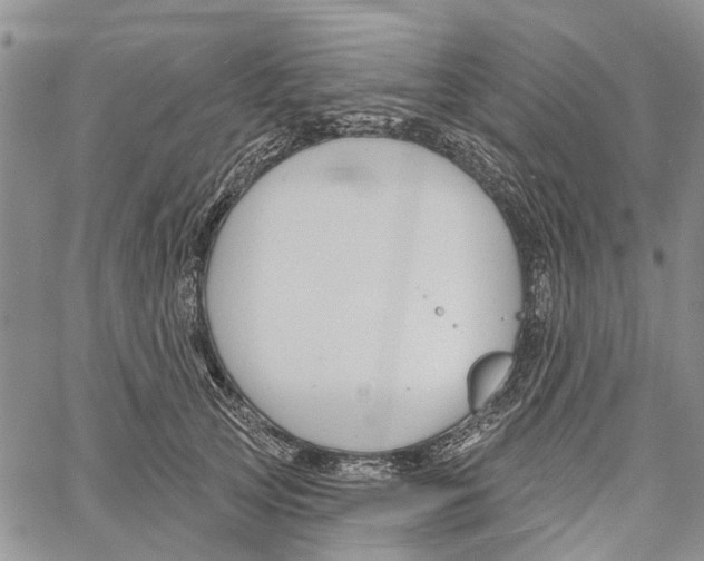 X0000060580753200512011732