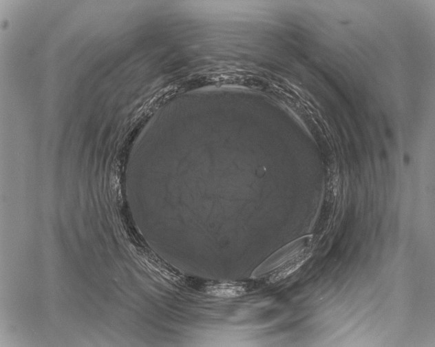 X0000060580754200512011732