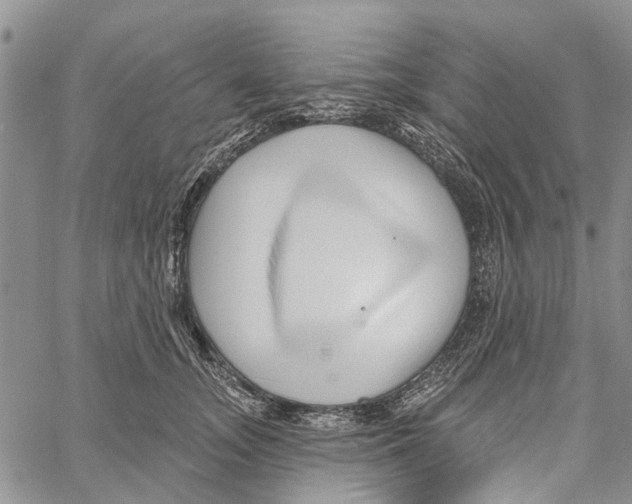 X0000060580755200512011732