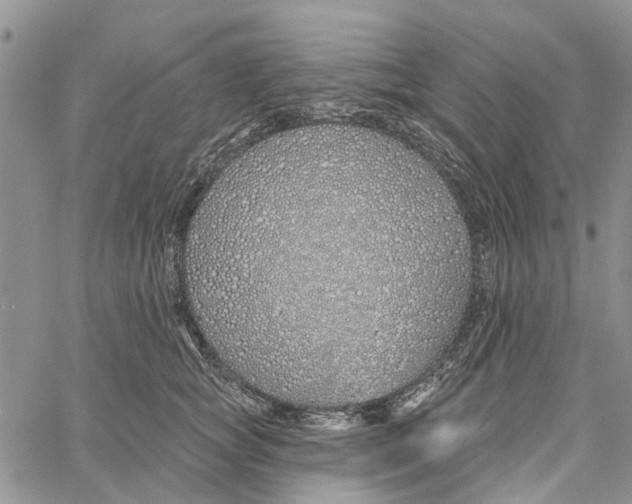 X0000060580757200512011732