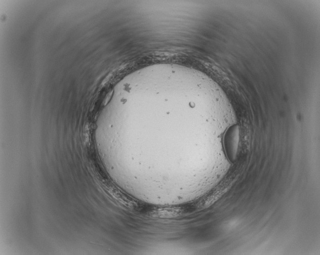 X0000060580758200512011732