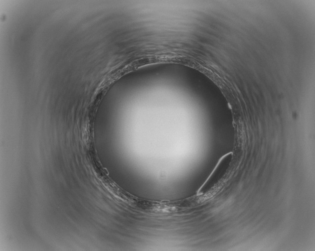 X0000060580760200512011732