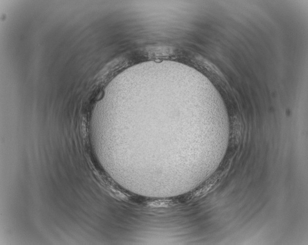 X0000060580761200512011732