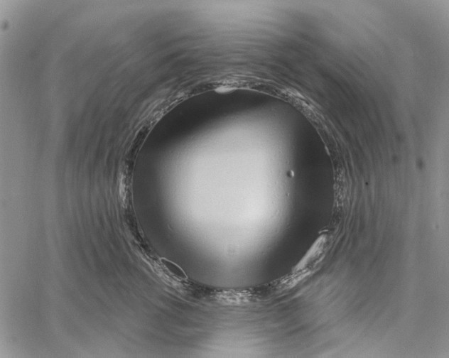 X0000060580762200512011733