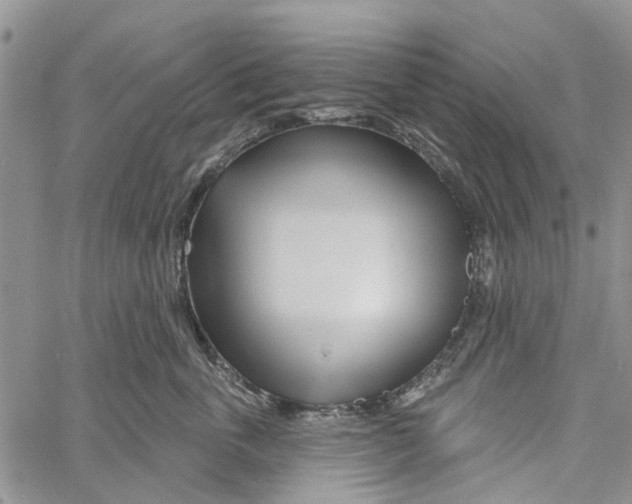 X0000060580763200512011733