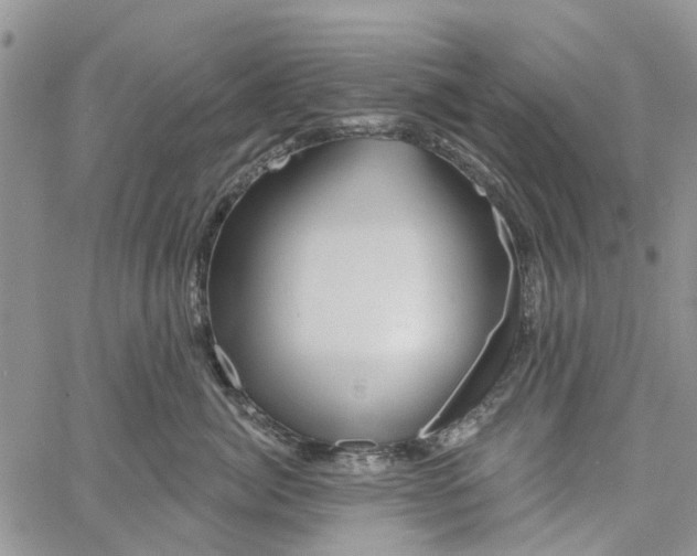 X0000060580764200512011733