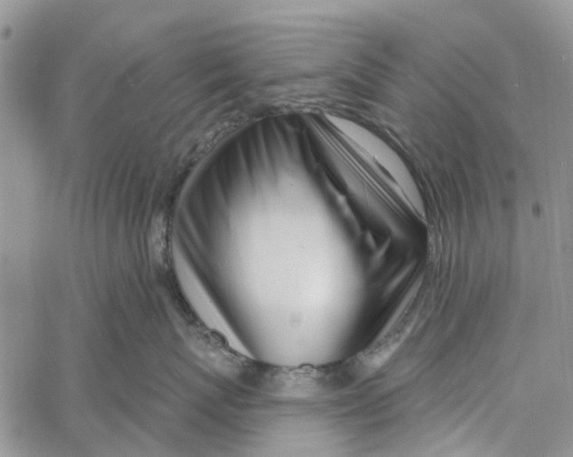 X0000060580767200512011733