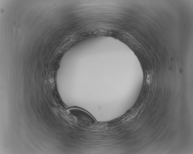 X0000060580771200512011732