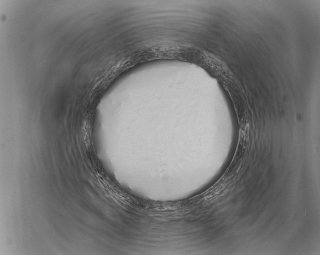 X0000060580772200512011732