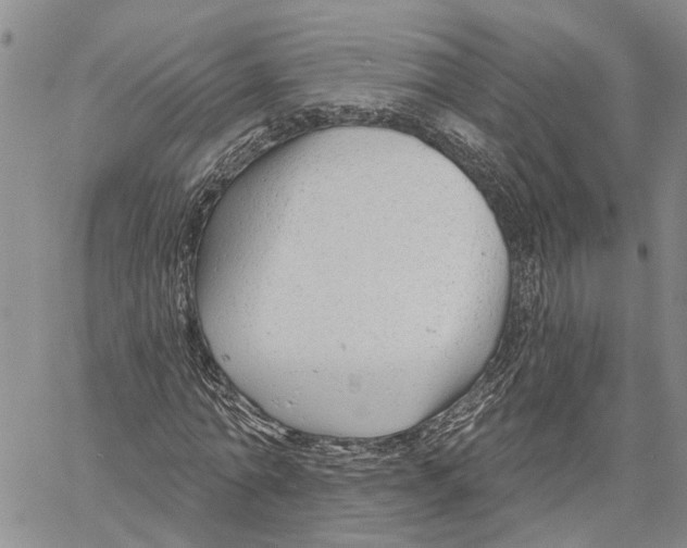 X0000060580774200512011732