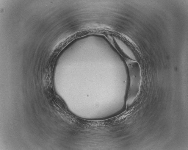 X0000060580775200512011732