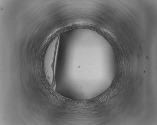 X0000060580776200512011732