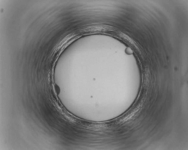 X0000060580778200512011732