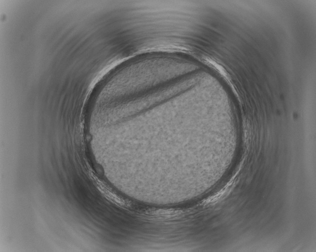 X0000060580779200512011732