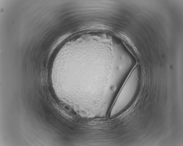 X0000060580780200512011732