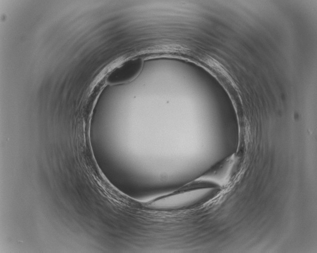 X0000060580781200512011732