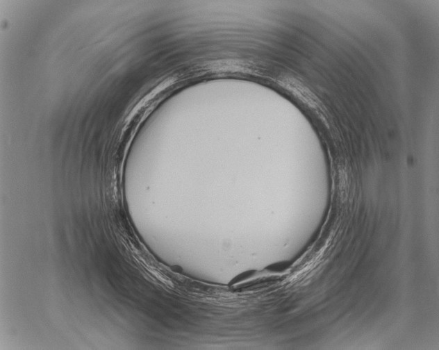 X0000060580782200512011732