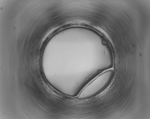 X0000060580783200512011732