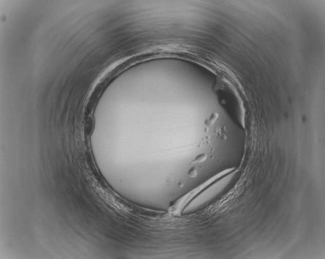 X0000060580784200512011732