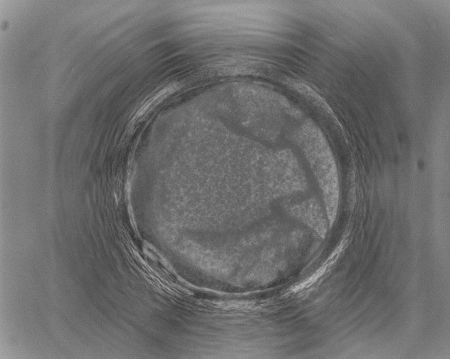 X0000060580785200512011732