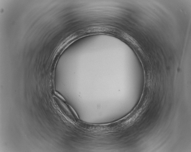 X0000060580786200512011732