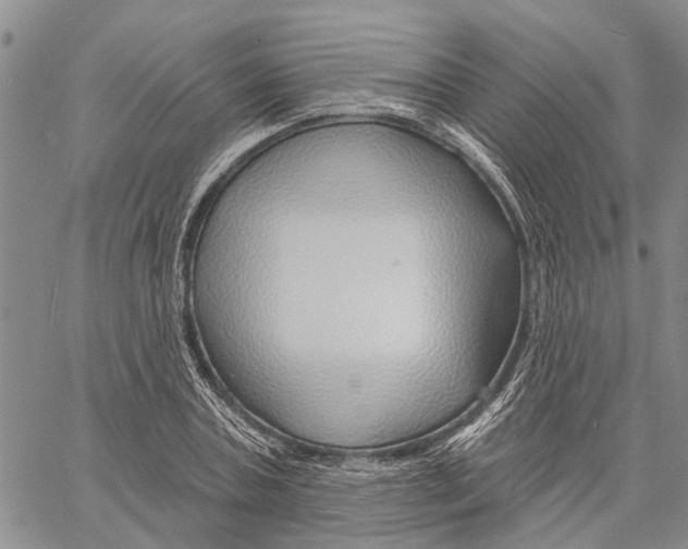 X0000060580787200512011732