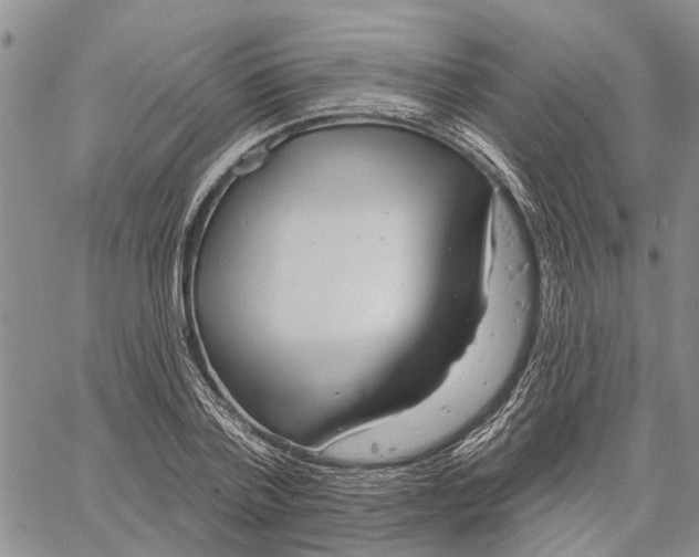 X0000060580788200512011731