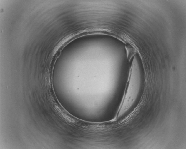 X0000060580789200512011731